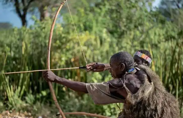 Hunter kills colleague, injures another while on hunting expedition in Ekiti